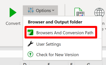 Screenshot of the Options menu in the Convert section of the ribbon
