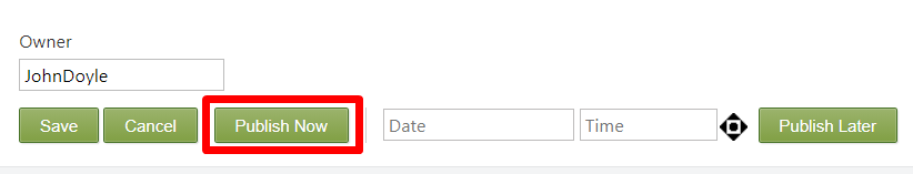 Screenshot of the Publish Now button in the webpage editor